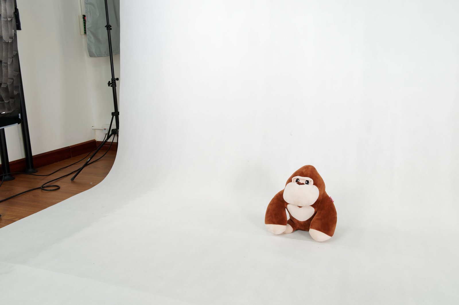 Gorilla in the studio