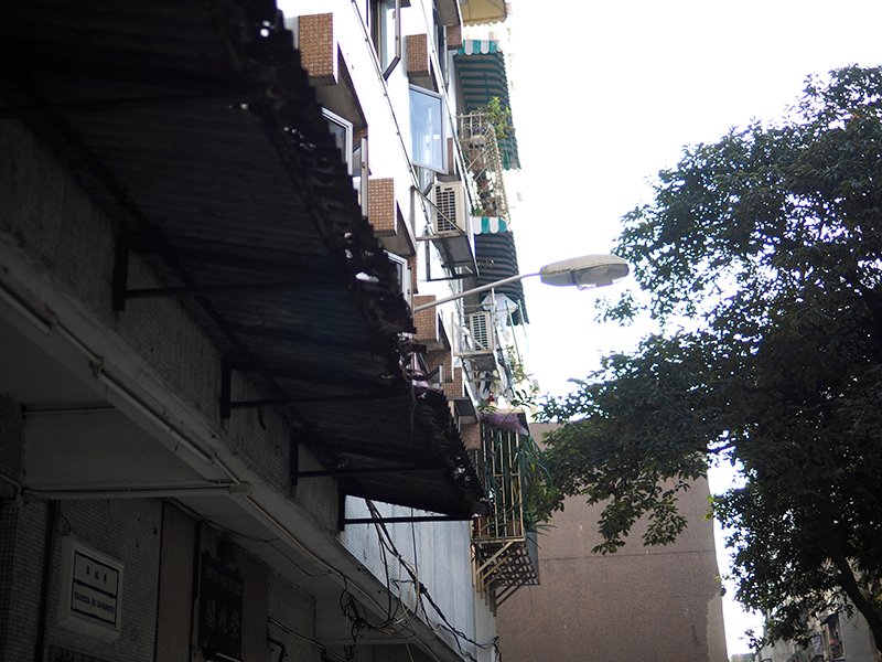 小 25 奶