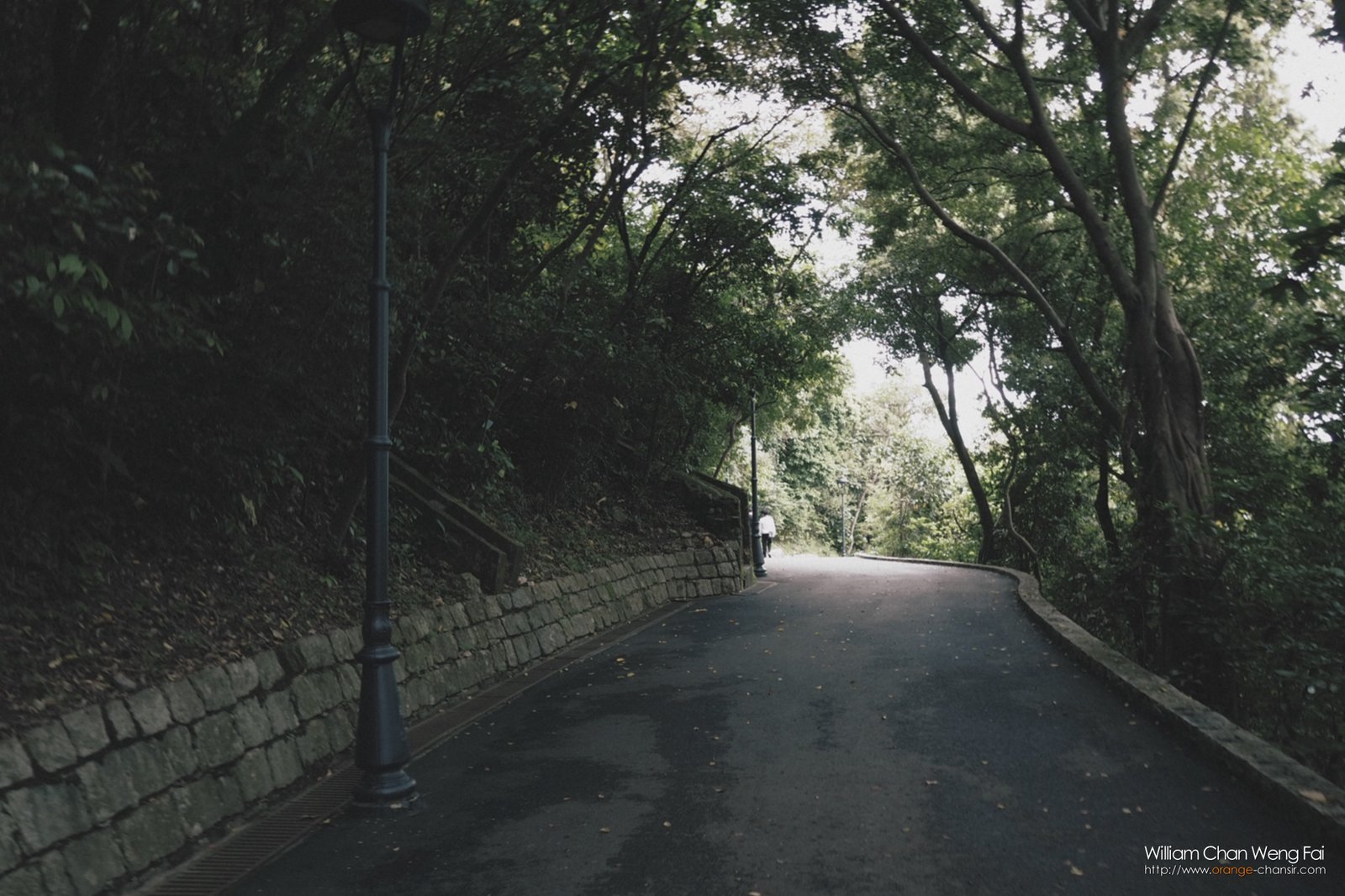 Health path / 2022