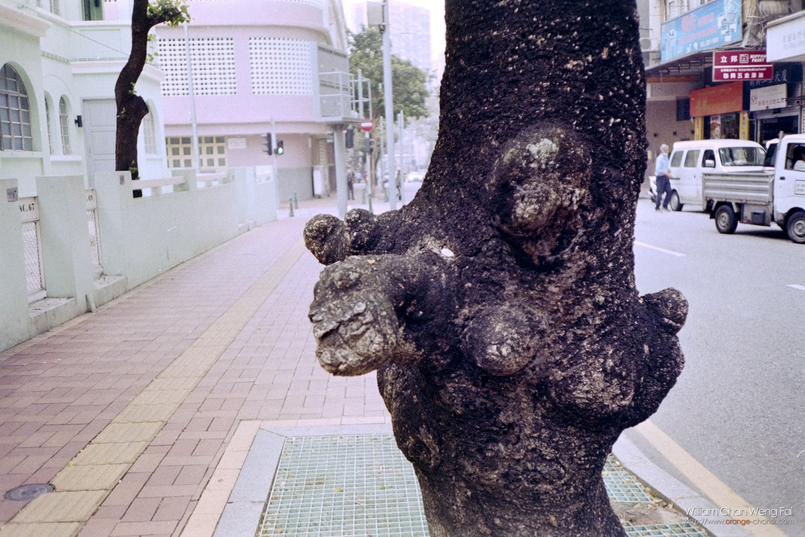 又忘了甚麼底片