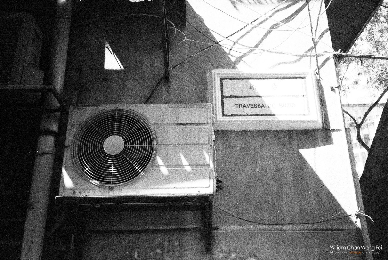 某日下午
Ilford HP5+ || Olympus Ecru