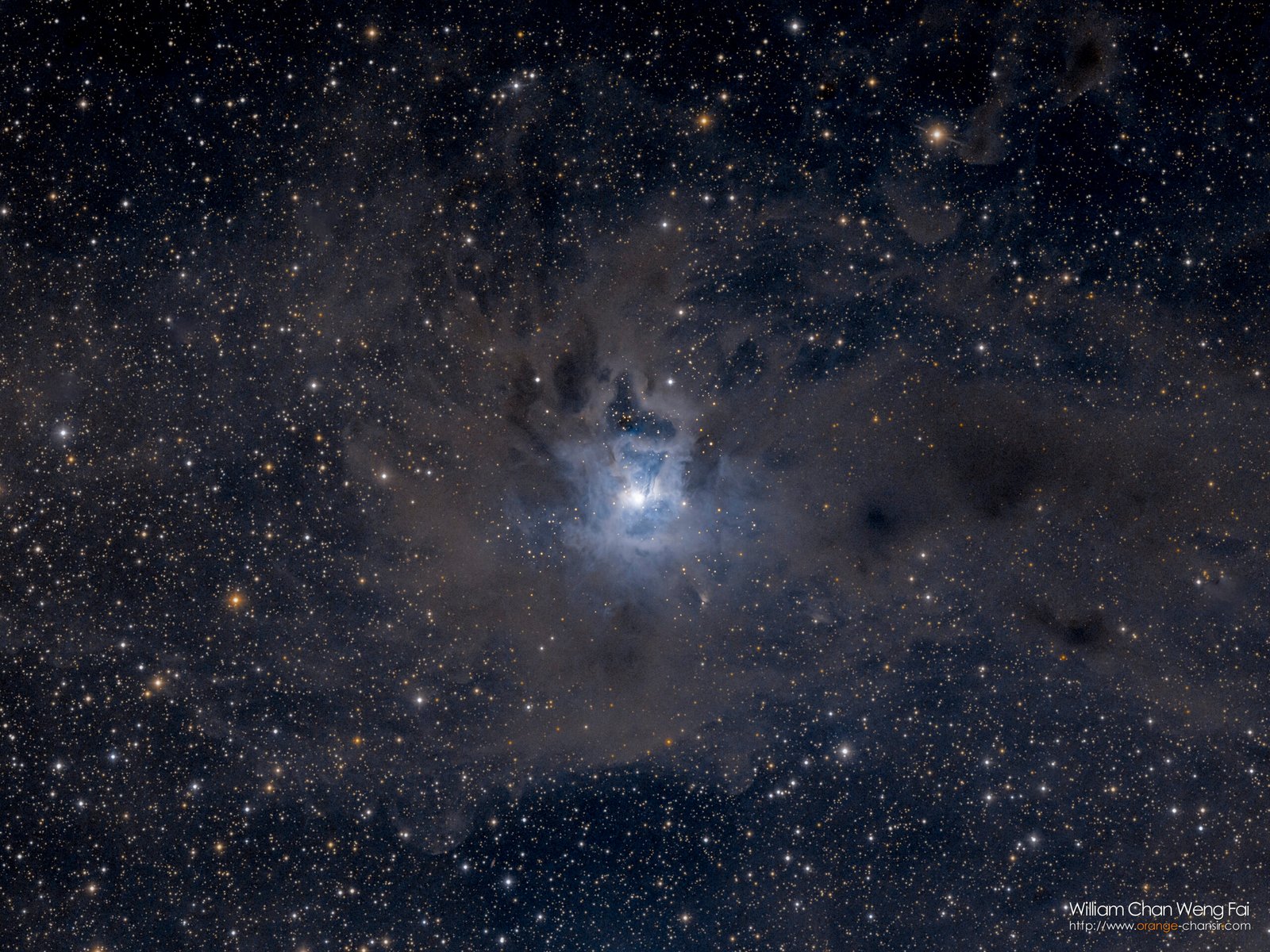 鳶尾花星雲 Iris Nebula NGC 7023